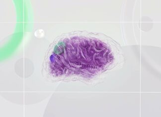 Neuromarketing: Die geheime Waffe erfolgreicher Werbung