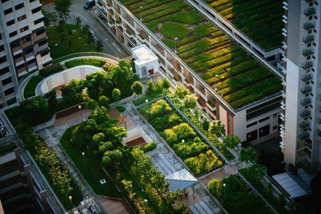 Urban Gardening: Der grüne Daumen in der Stadtlandschaft