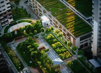 Urban Gardening: Der grüne Daumen in der Stadtlandschaft